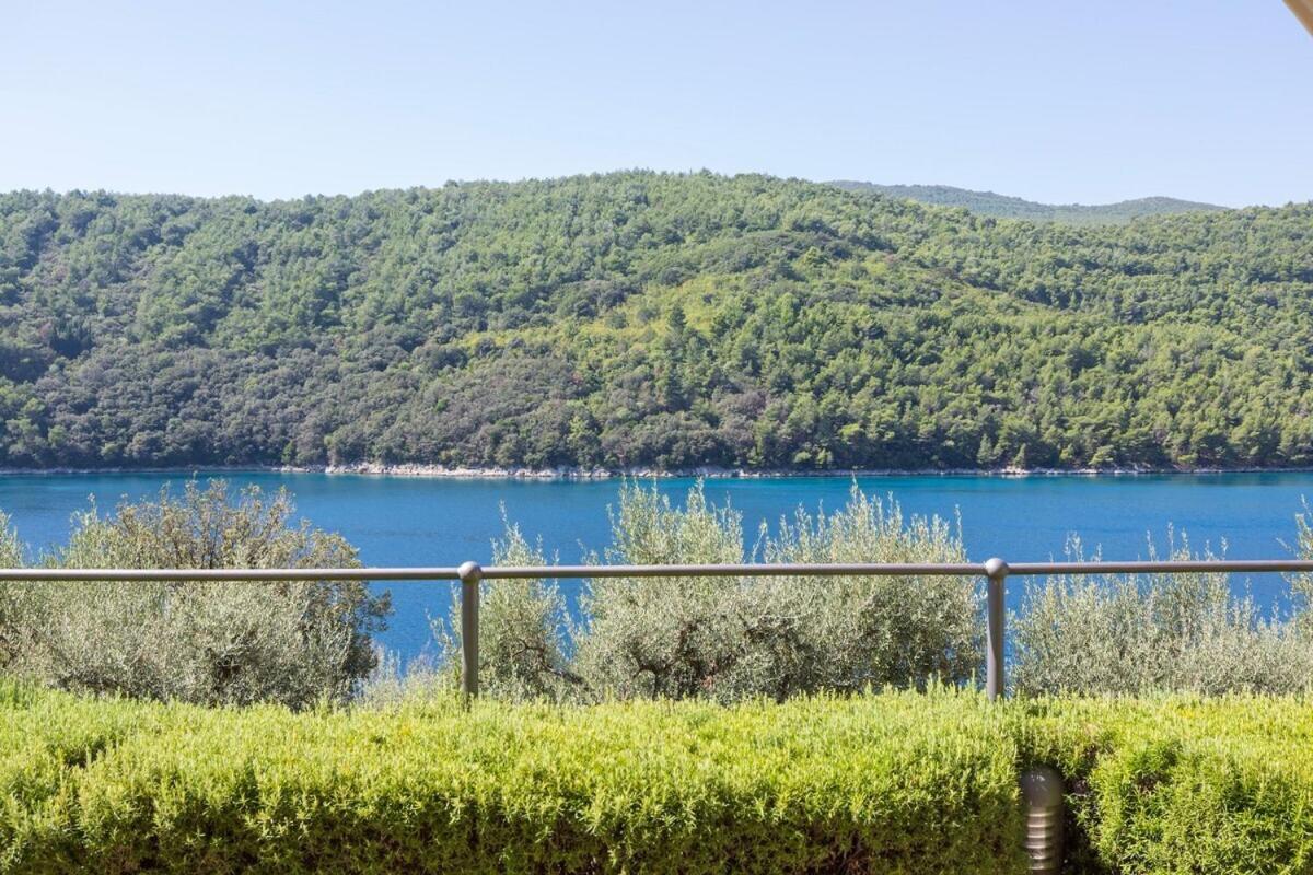 Istria Sea Side Apartment 210 & 209 라빈 객실 사진